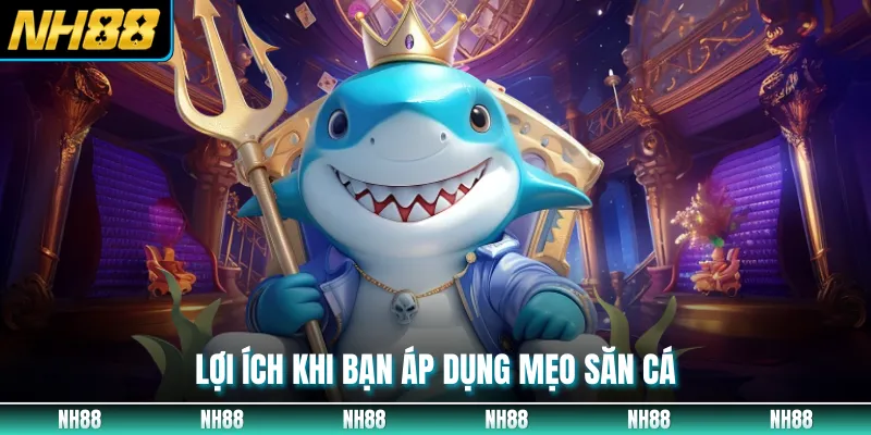 Lợi ích khi bạn áp dụng mẹo săn cá